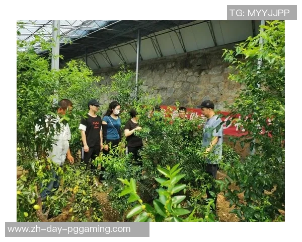 专家学者共聚云南大理 讨论生态优势赋能户外运动工业绿色开展 专家学者共聚云南大理 讨论生态优势赋能户外运动工业绿色开展